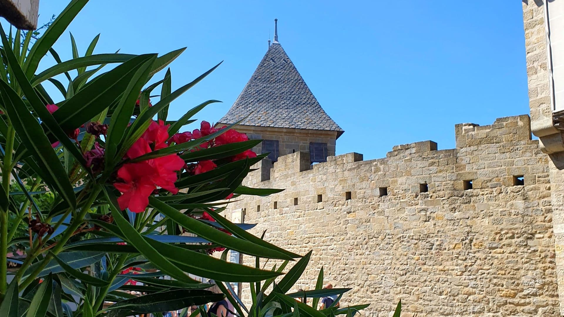 Hôtel Hilton Carcassonne avec piscine - 20190817_144026-scaled