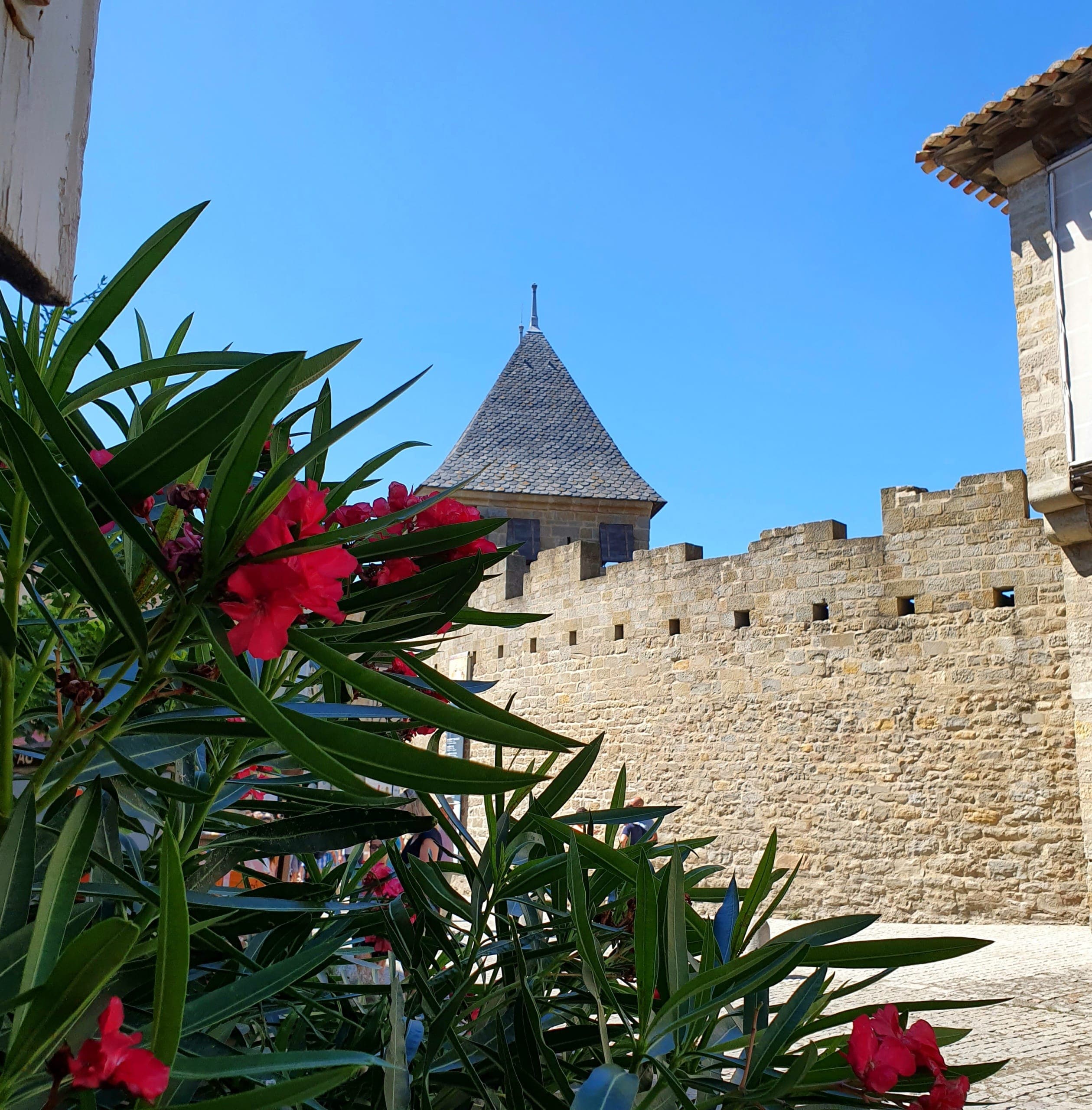 Hôtel Hilton Carcassonne avec piscine - 20190817_144026-scaled