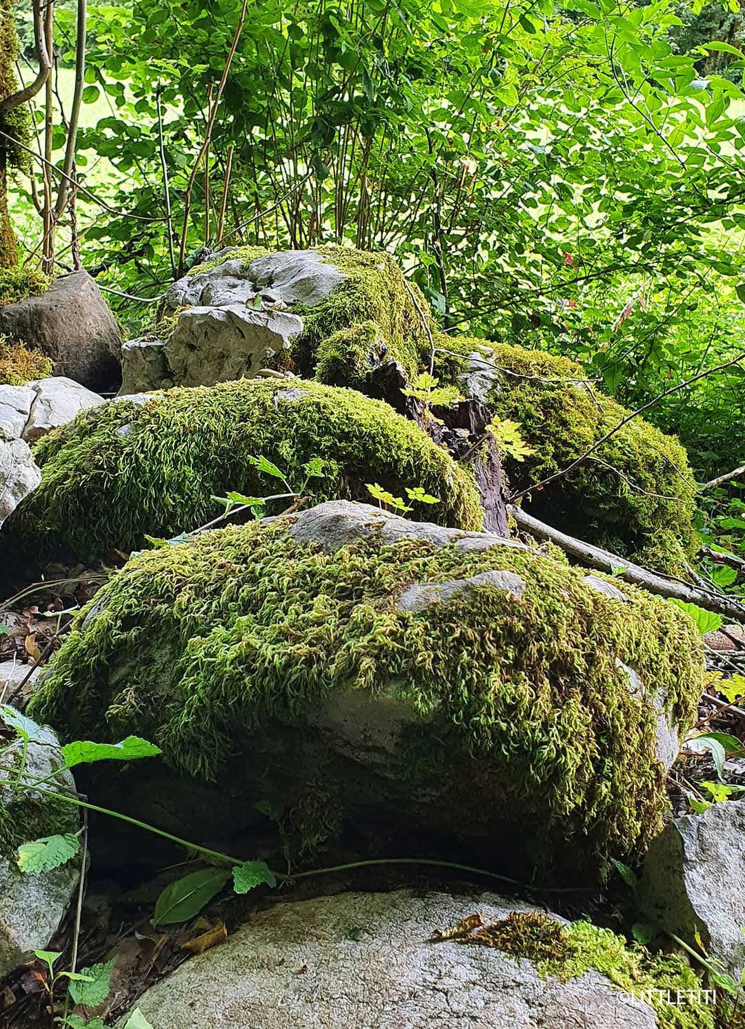 La cascade de Pissieu dans le massif des Bauges - cascade-de-pissieu1