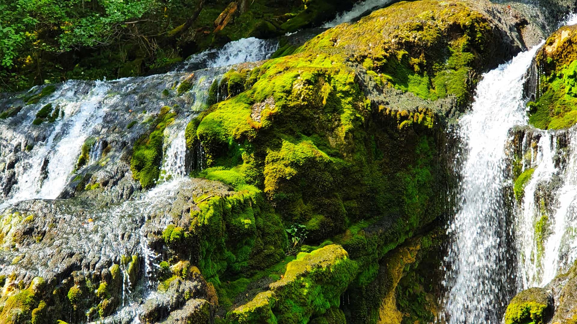 La cascade de Pissieu dans le massif des Bauges - cascade-de-pissieu11