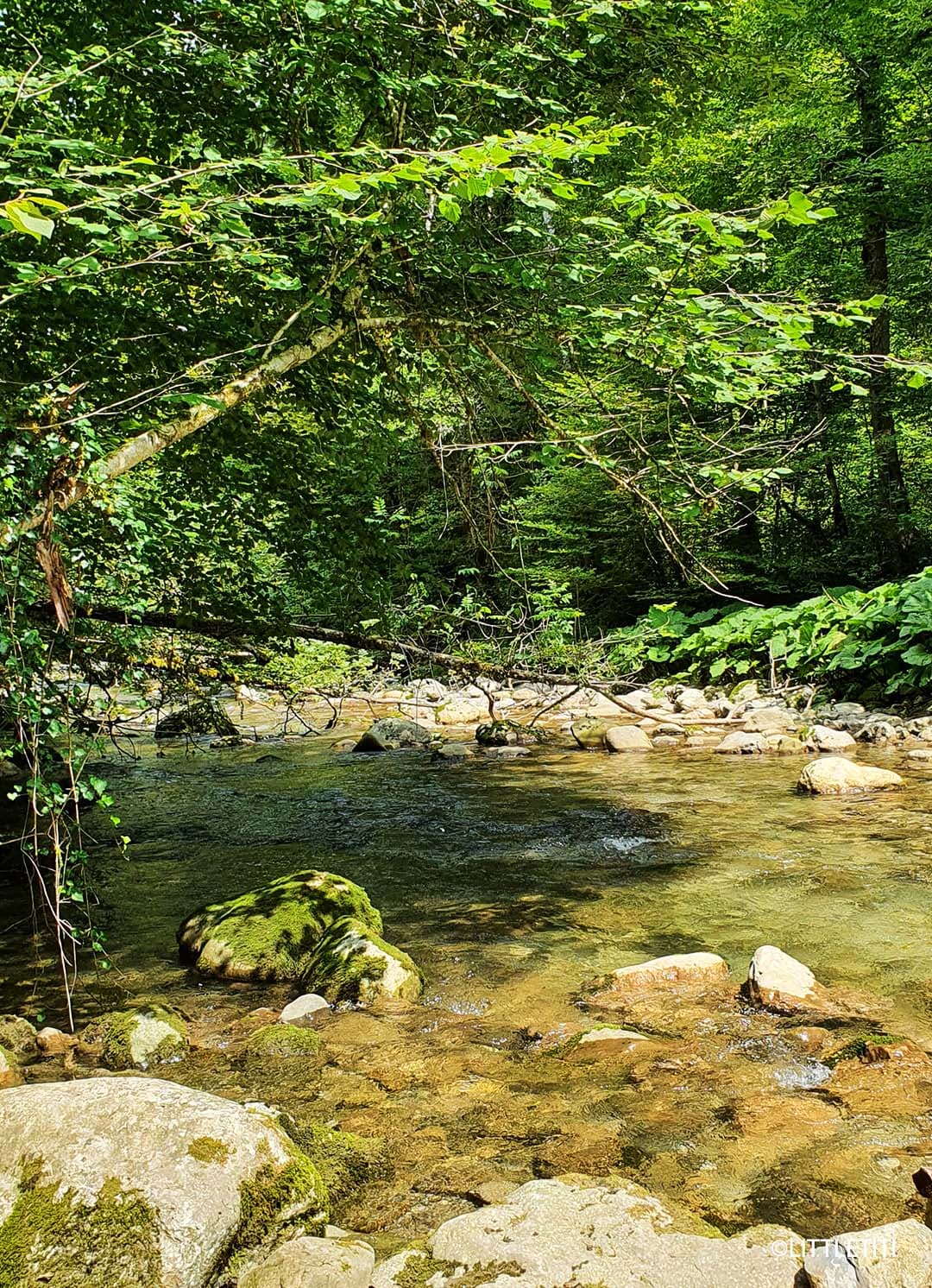 La cascade de Pissieu dans le massif des Bauges - cascade-de-pissieu2